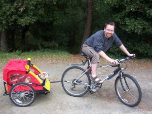 dog bicycle trailer