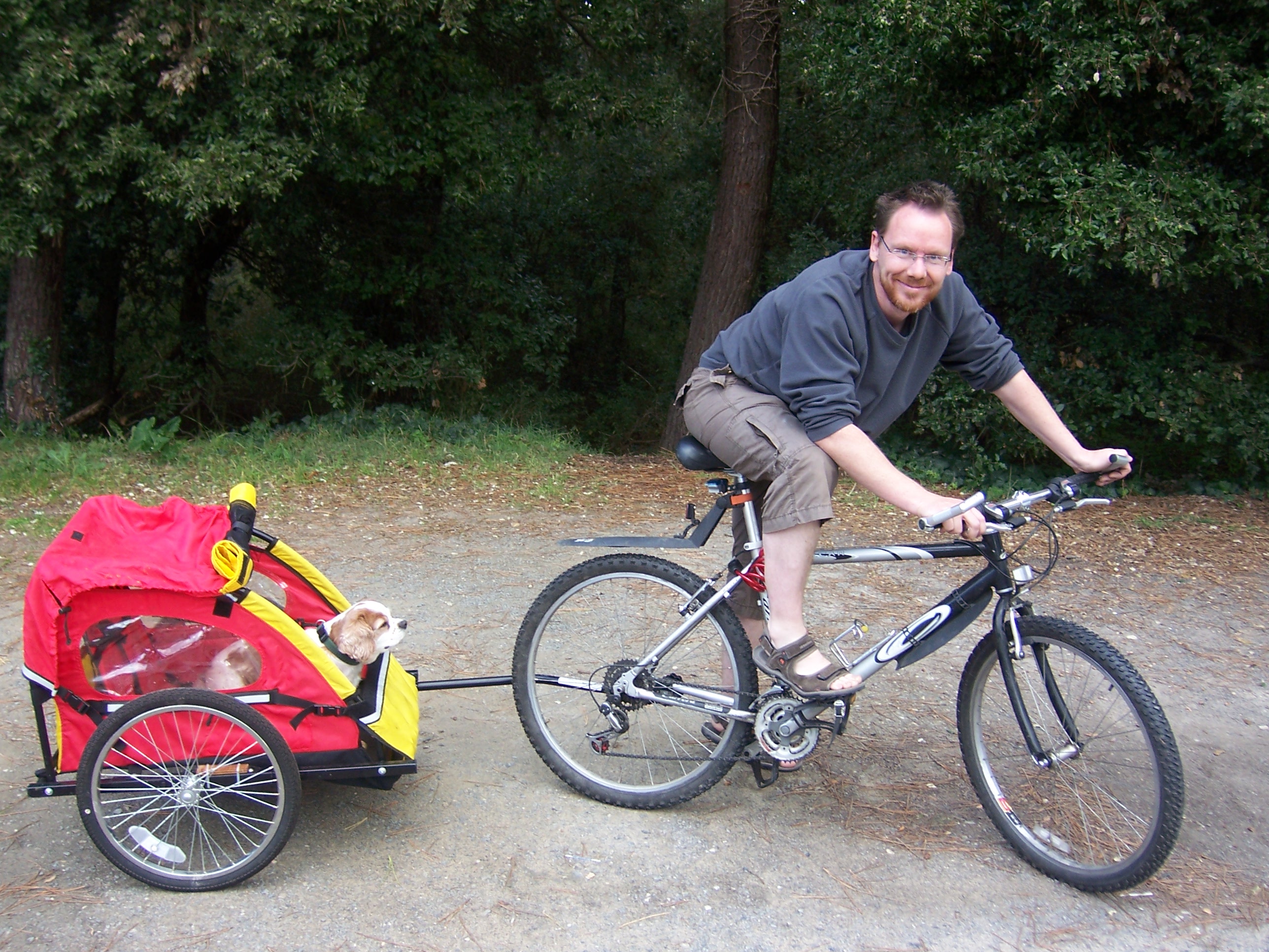 dog bicycle trailer