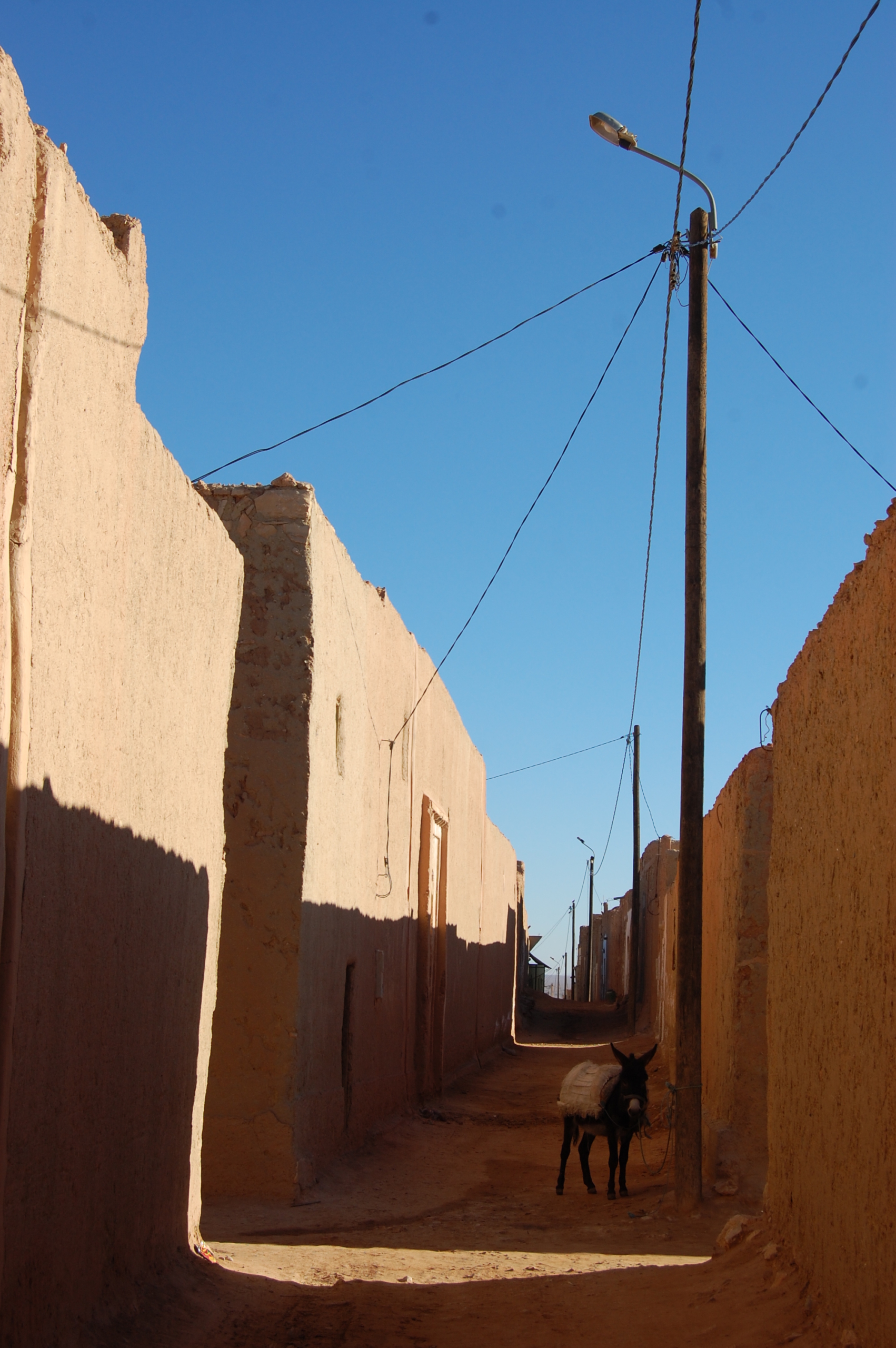 Donkey Street, Meski, Morocco