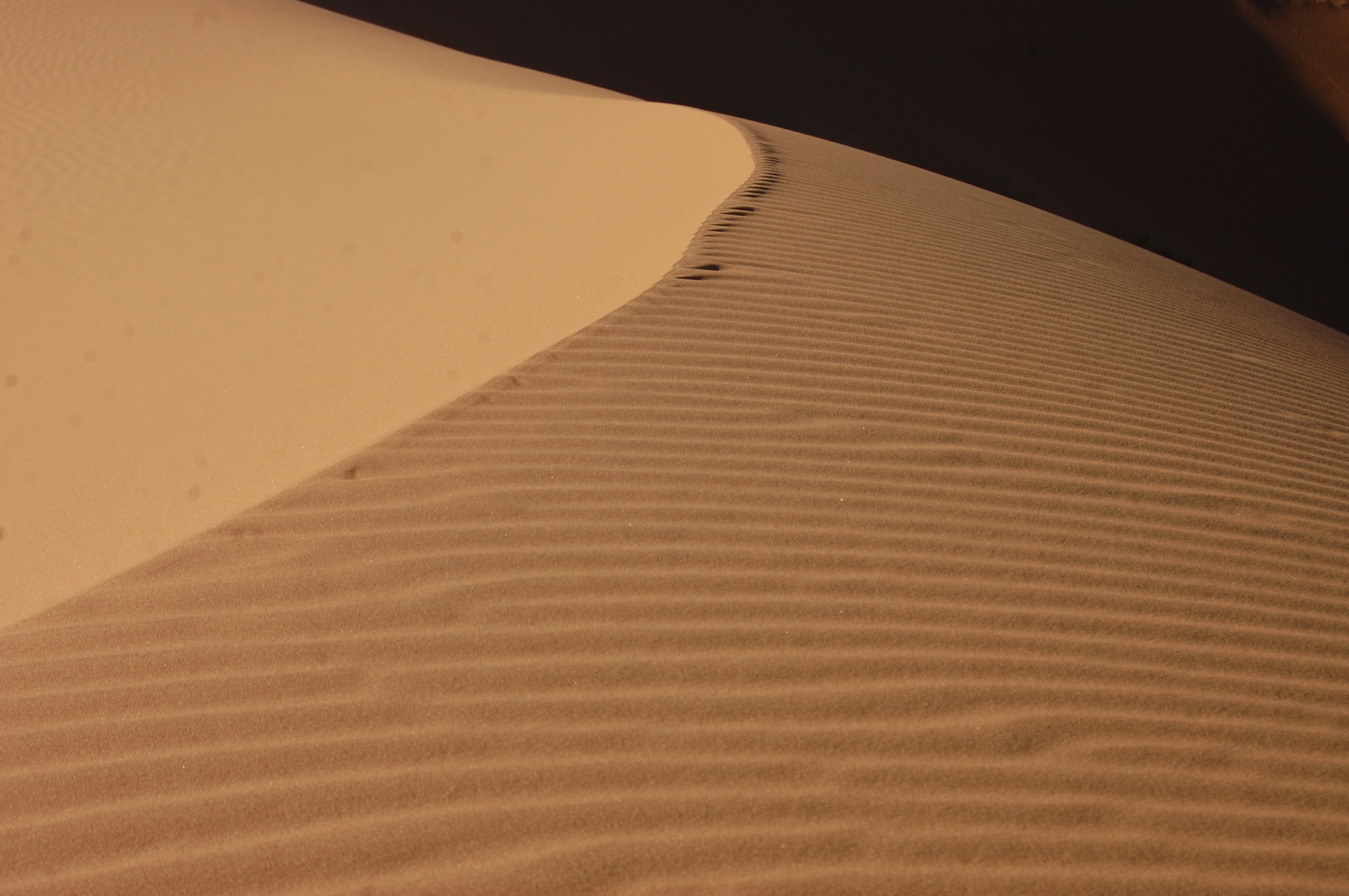 Sand dune, Erg Chebbi, Morocco