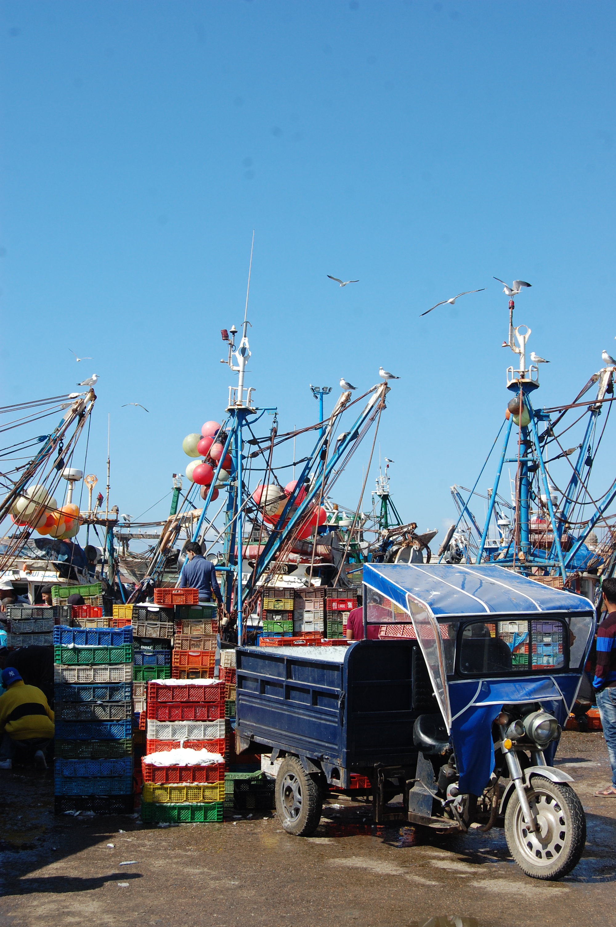 Sardine fishing port, Essaouira, Morocco