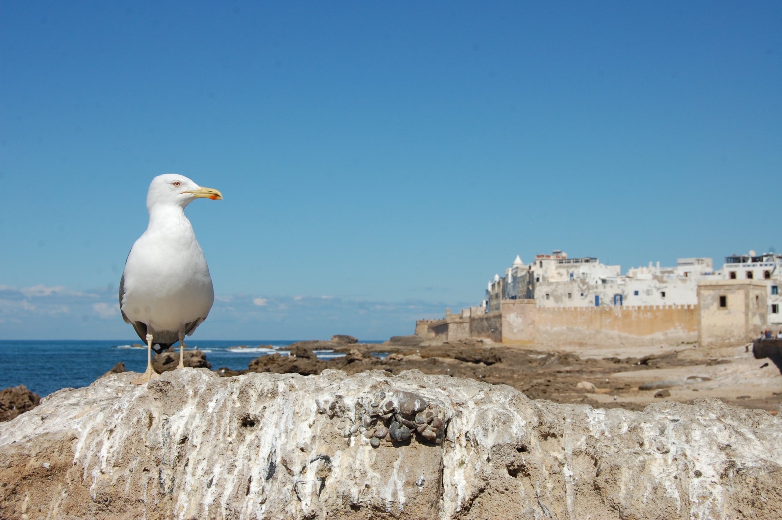 Essaouira, Morocco