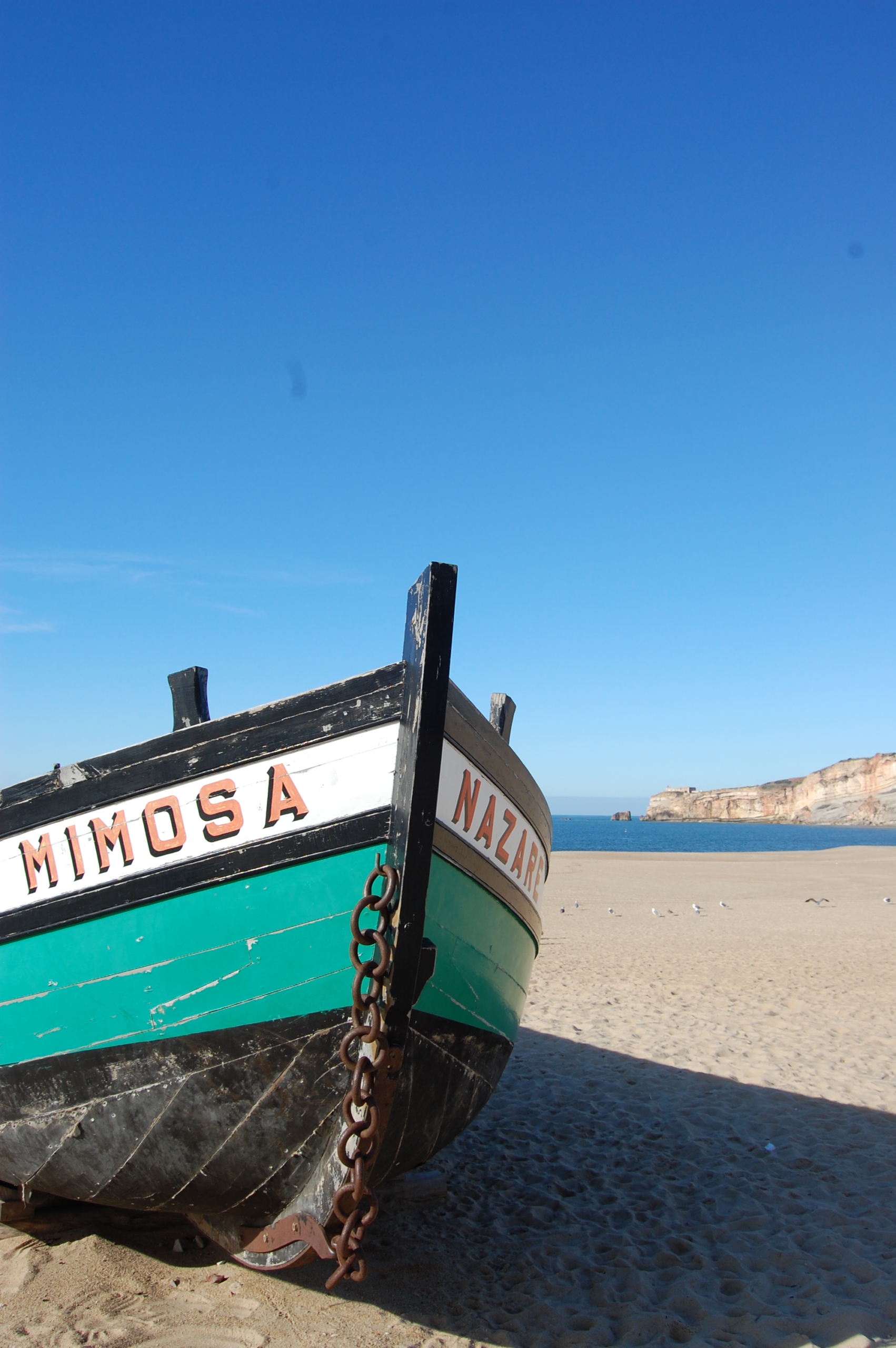 Boat, Nazares, Portugal