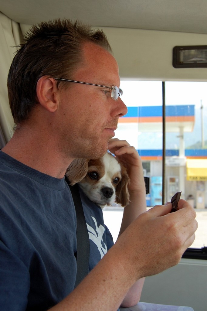 Charlie appears in the cab to sniff the chocolate