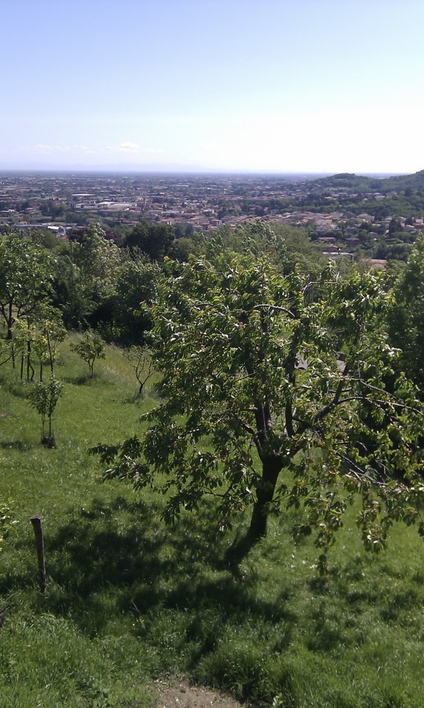 The plain falling away to the left, distant mountains just visible like ghosts.