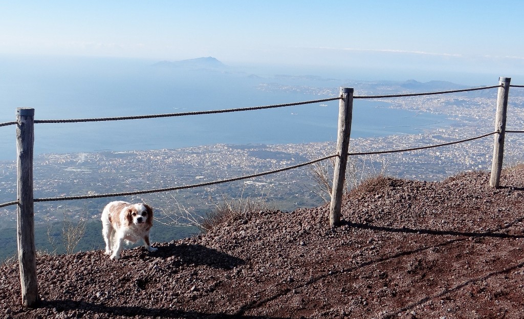 Charlie gave us a fright as he played around on the raggedy edge