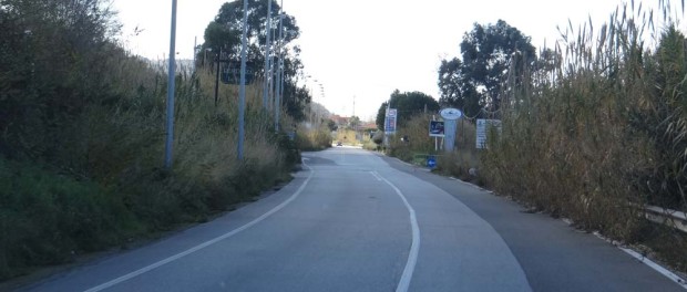 Calabria B road. Good surface, incredibly tall grass obscuring the view.