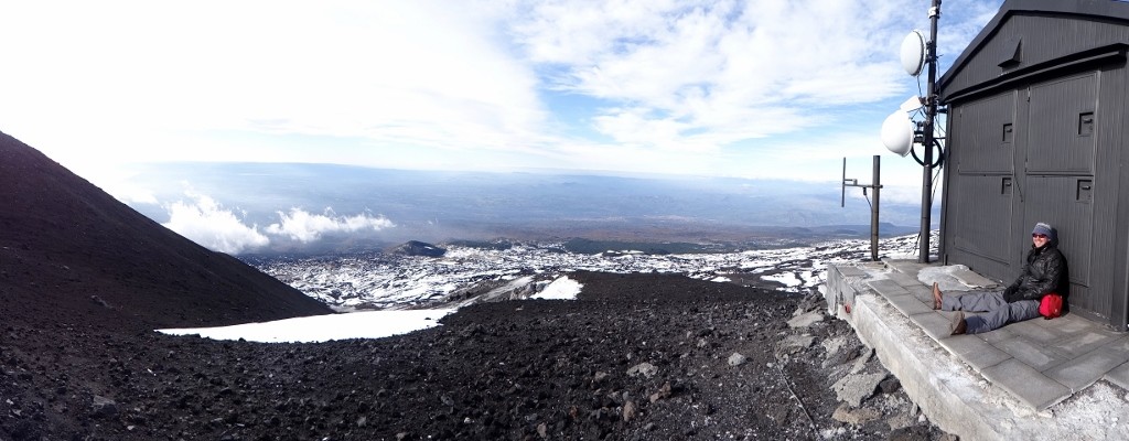 Jay resting out of the howling wind 