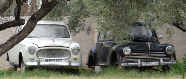 Not sure why, but I love this photo.