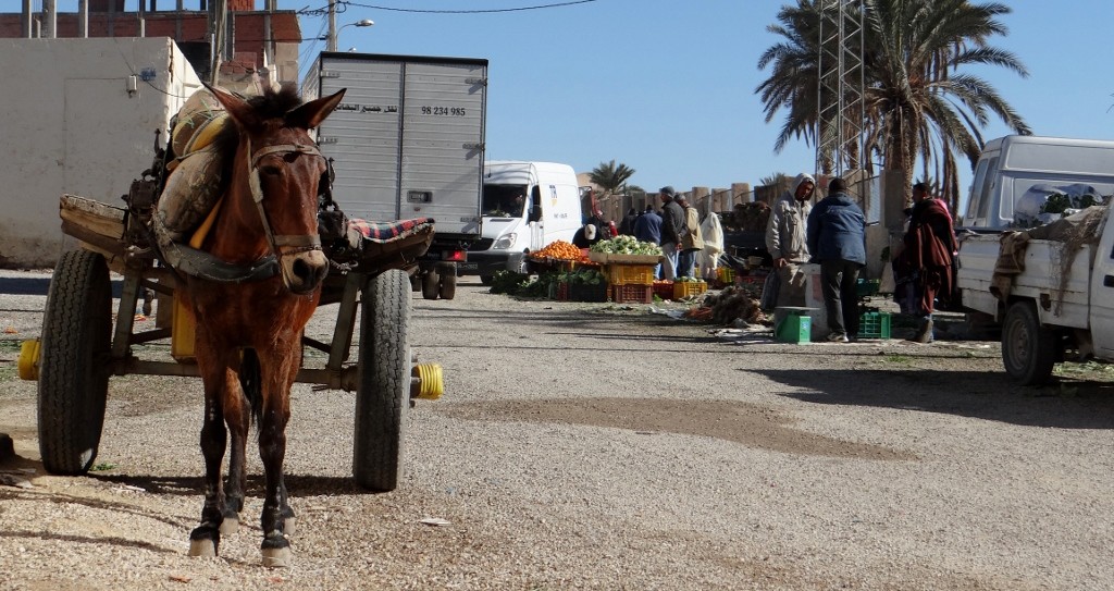 A trusty steed waiting to take the groceries home