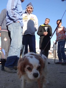Tunisians appear to love the furry one. He's nonplussed.