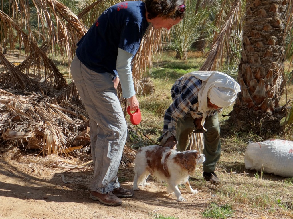Charlie makes another friend in the Oasis