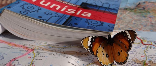 Tunisian butterfly, sadly expired, its colours were so vivid I brought it back to show Ju.