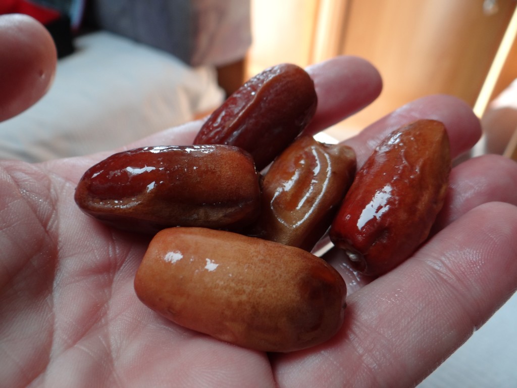 Free food! Dates fallen into the camp compound, washed in bottled water, then the first had a maggot in it. Mouth washed with water, we'll buy our dates in boxes...