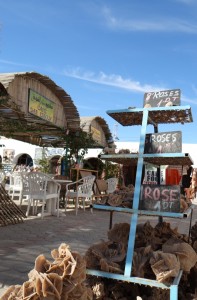 Looks like desert roses aren't worth much, not even the huge ones!