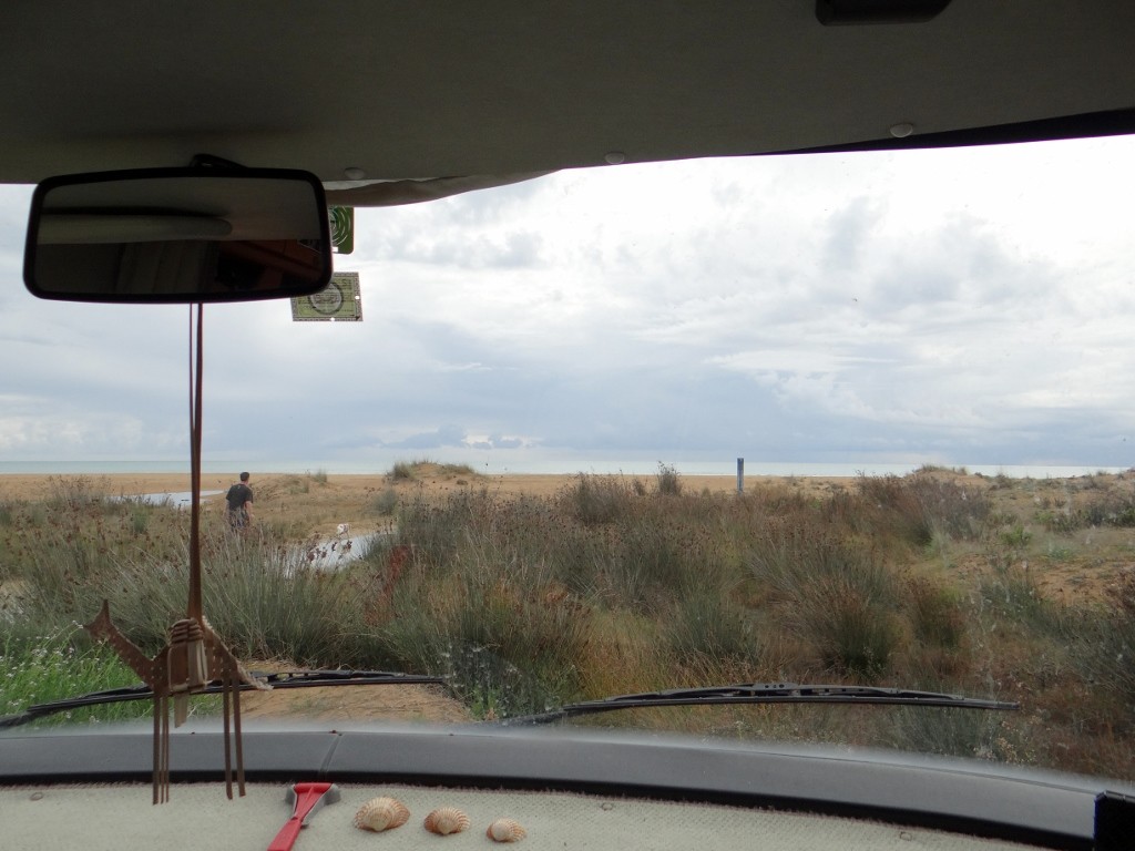 Dave's windscreen on the world - Jay & Charlie head for the beach