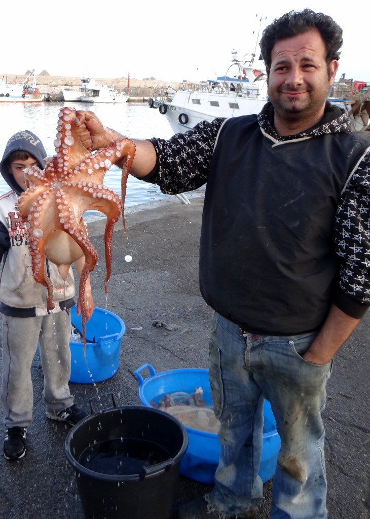 That's the large order of Calamari for your sir