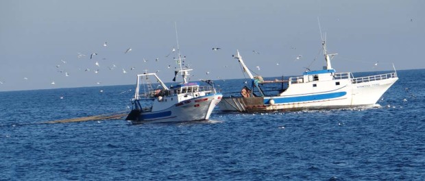 Out of port, nets out.