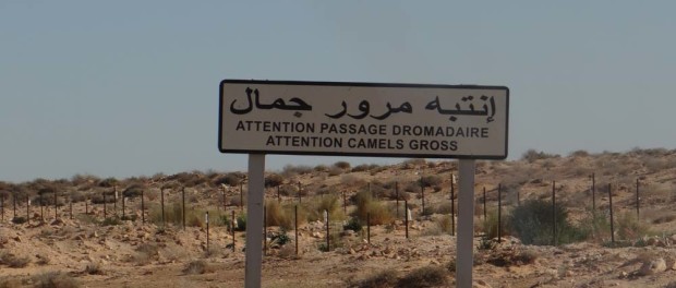 Grab photos of oddly-spelled signs en-route.