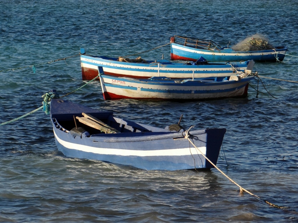 We've seen loads of people out fishing in these, dragging their nets behind them.