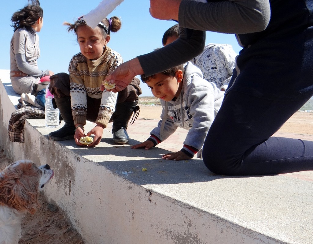 Charlie entertains - with the help of sandwiches