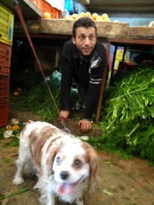 Charlie makes friends in the medina