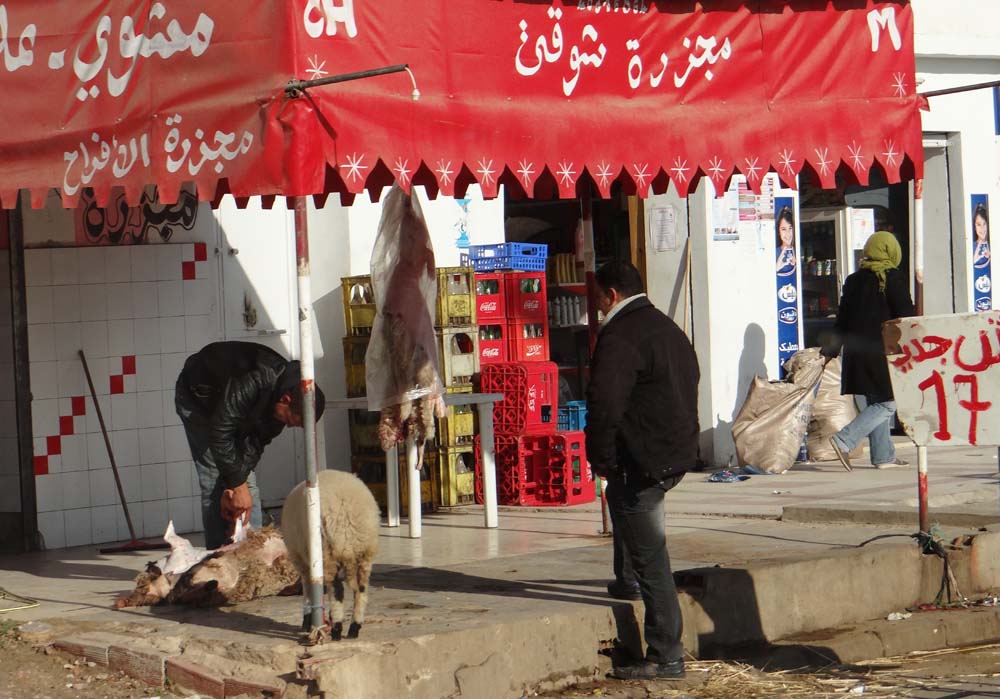 The sight of sheep being killed and skinned on the roadside now seems pure normality.