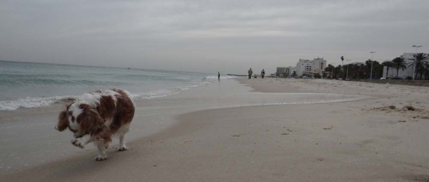 Charlie legs it along another beach, managing a very passable Roman Solute into the bargain.