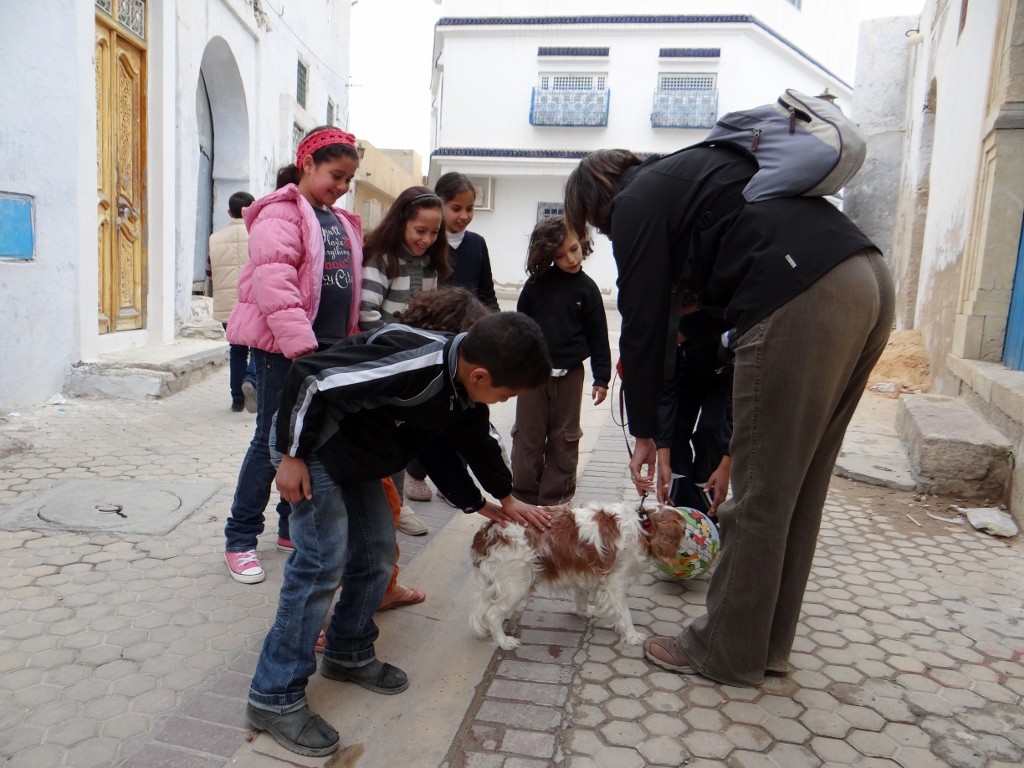 Charlie's fan club want him to play ball with them