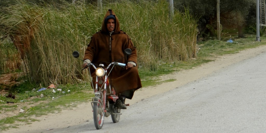 I'll miss these fellas when we leave here - especially love oggling the ones with ancient crash helmets perched uselessly on their hood.