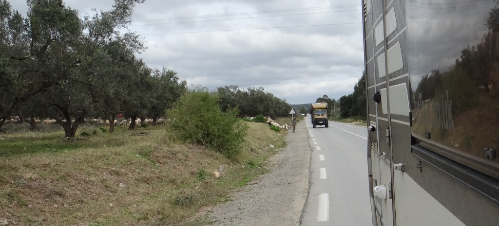 Werner avoids a flock of sheep