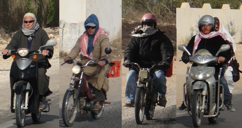 My version of bird spotting - scooter spotting