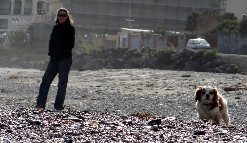 Charlie loves it on the beach near our site - loads of stones to chase!