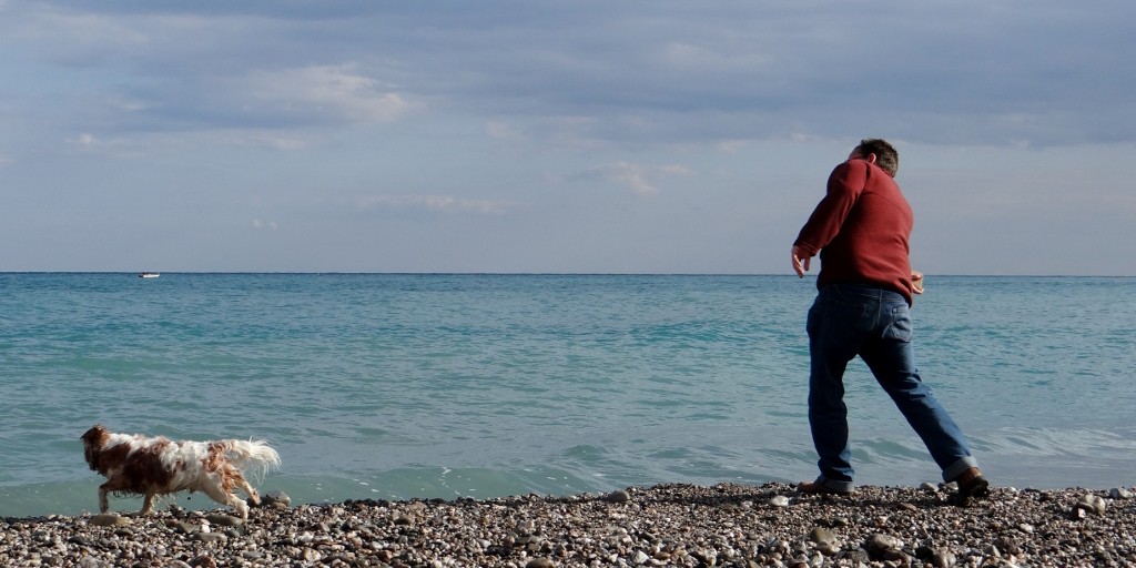 Stone chasing pooch - he's back on top form!