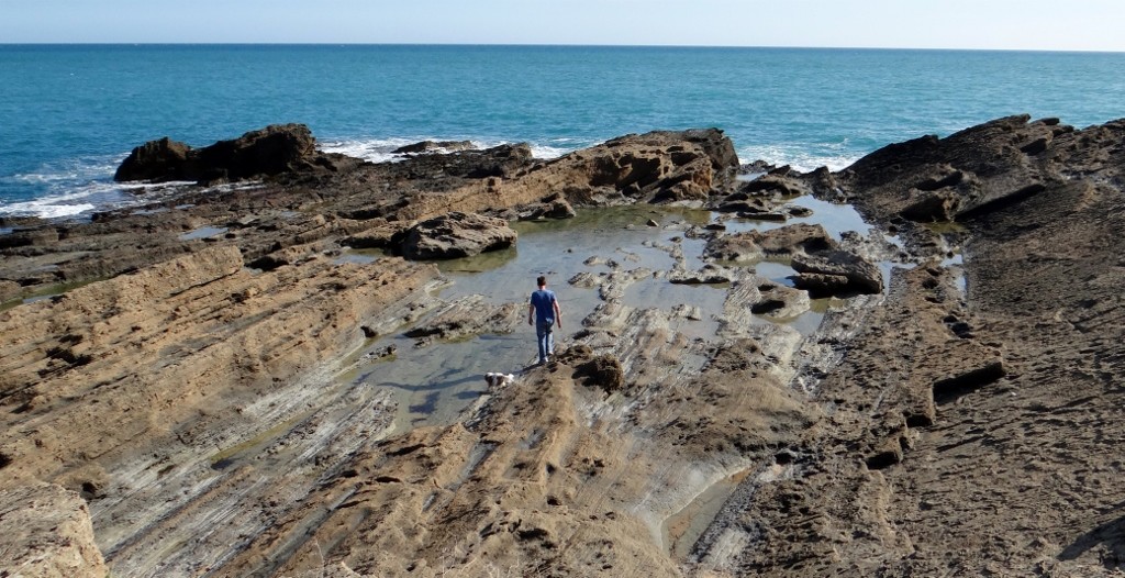 Charlie and Jay go rock pool hunting
