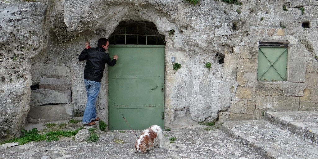 Jay can't resist a nose to see what it's like in there