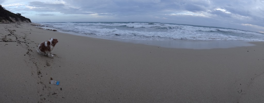 Fooled about on the beach, read a little and wrote a little.