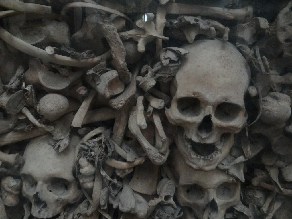 The bones stare down at you from glass cases