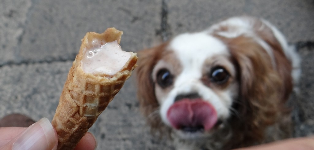 Charlie will miss Italian ice cream too!