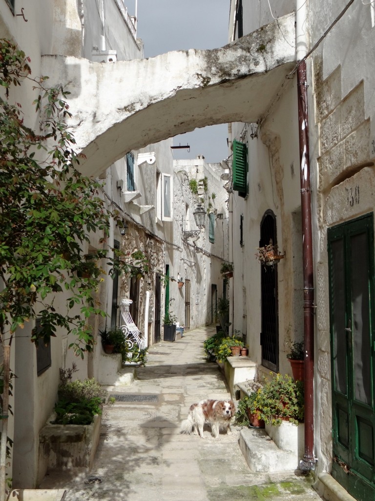 Ostuni 