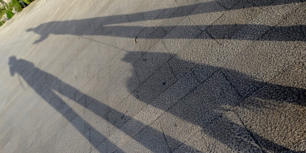 Team Buckley in the evening sunshine