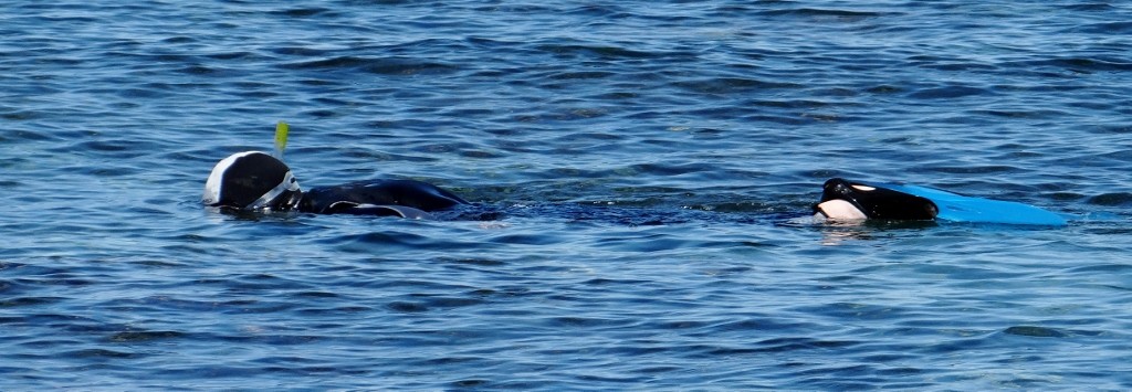 I think this is the view I'll see most of my hubby while we're in Greece!