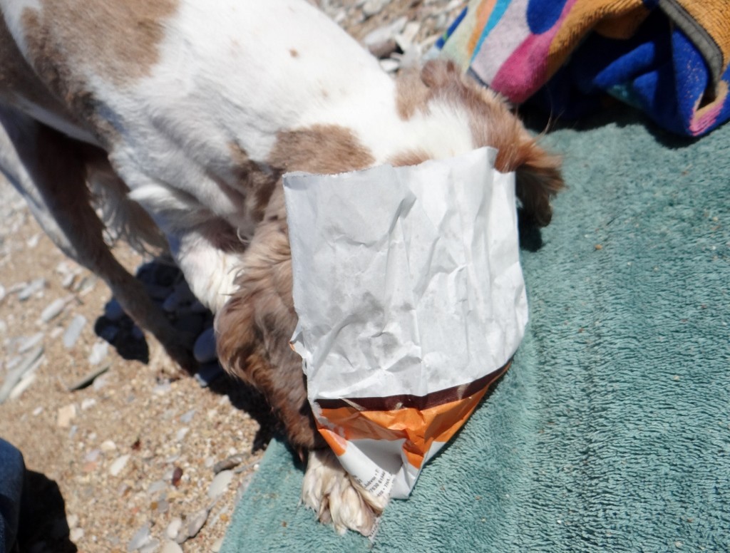 Charlie gets a bit of cheese pie 