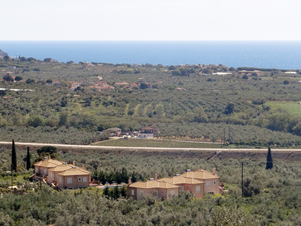 Miles of olive trees looking over to Romanos