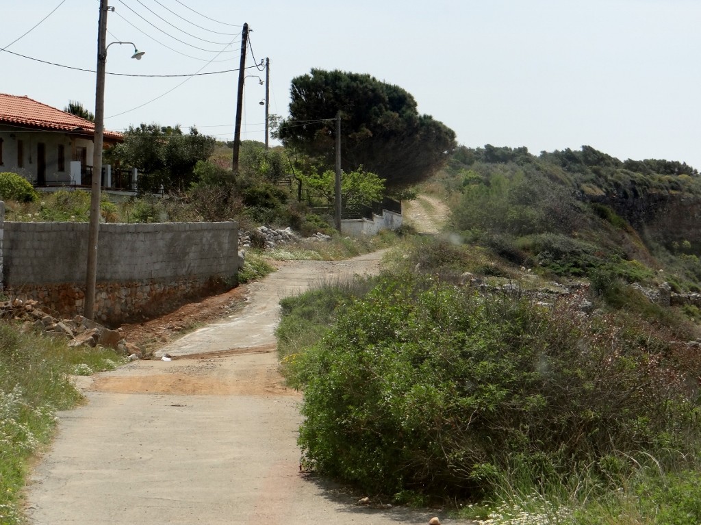 Hmm that doesn't look like a main road to me!