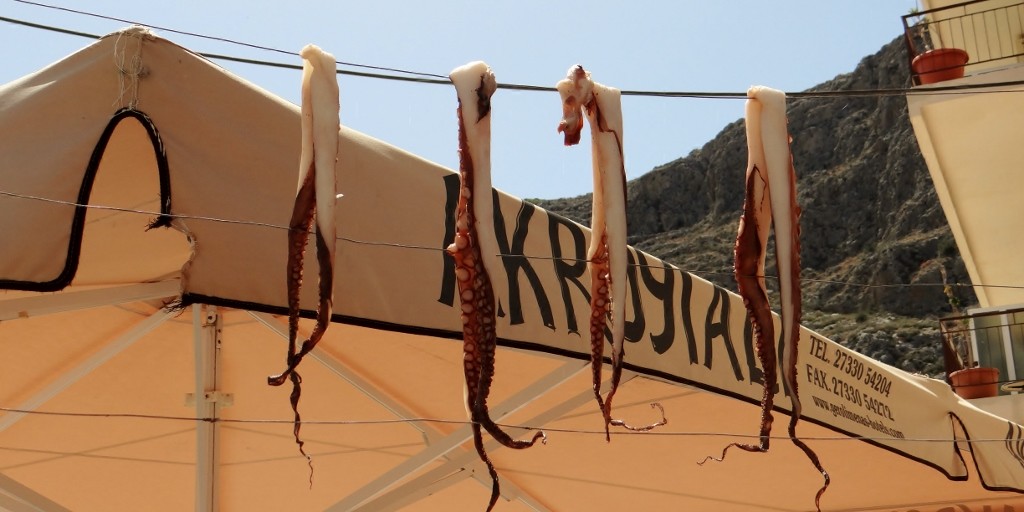 seafood hanging out to dry in Yerolimenas