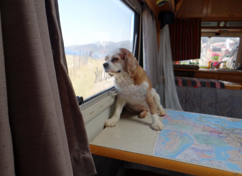 The scenery was so stunning Charlie wanted a better view