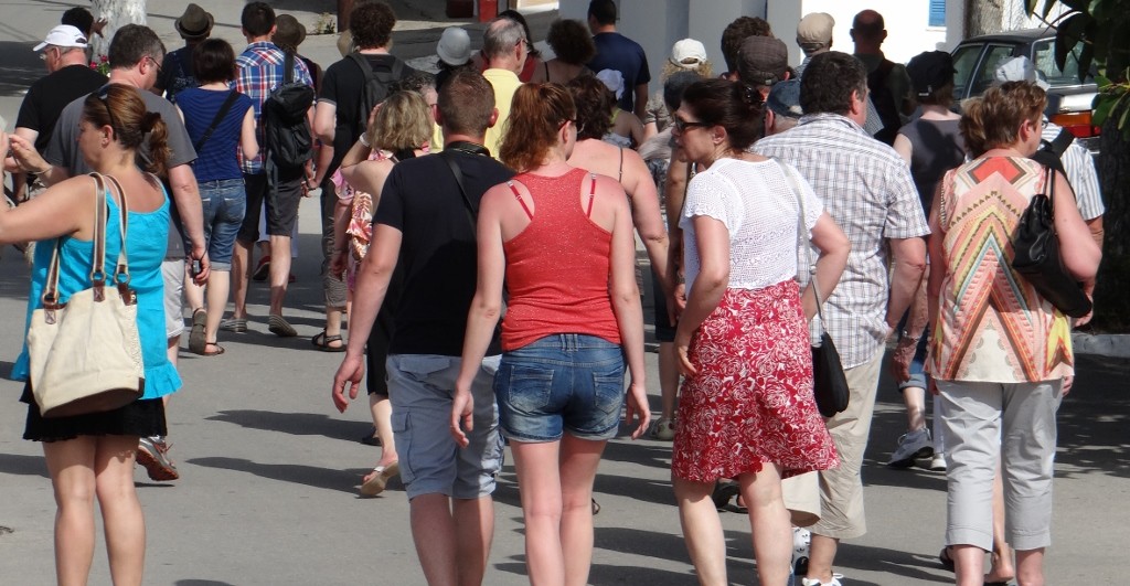 Unsheepish French tousits, less co-ordinated than their ovine counterparts