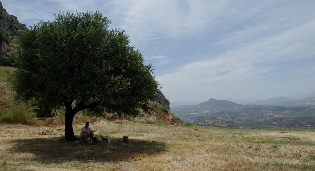 Lovely, lovely tree shade - so underrated