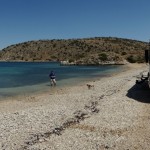 Dave, Our First Hymer B544 Motorhome